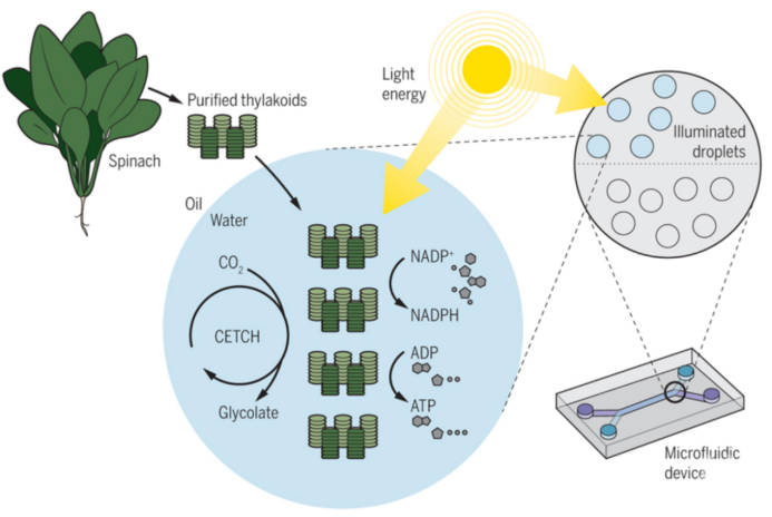 微信图片_20250521094543.png 微信图片_20250521094543.png